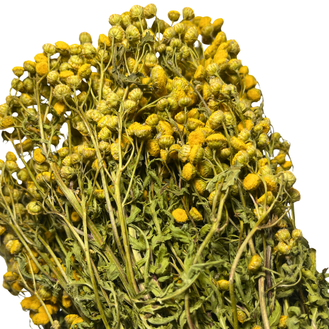 Decorative bundle – Common Tansy